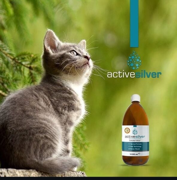 Active Essentials Active Silver Kolloidal Gümüş Suyu 100ML Sprey 3 lü avantaj paket