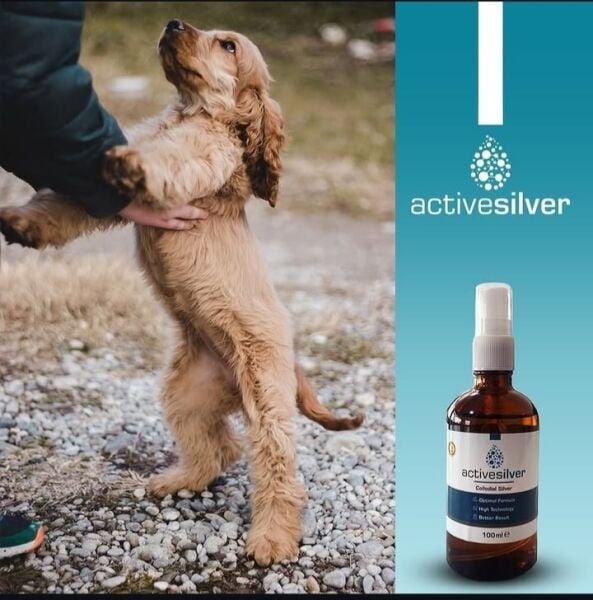 Active Essentials Active Silver Kolloidal Gümüş Suyu 100ML Sprey 3 lü avantaj paket